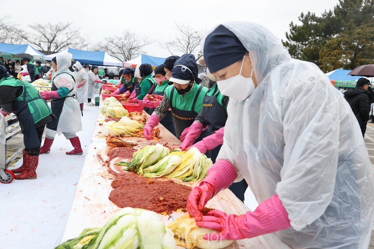 새봄 새김치 담그기 축제/사진-해남군