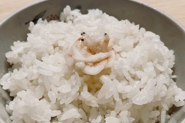 hantomo-labo
