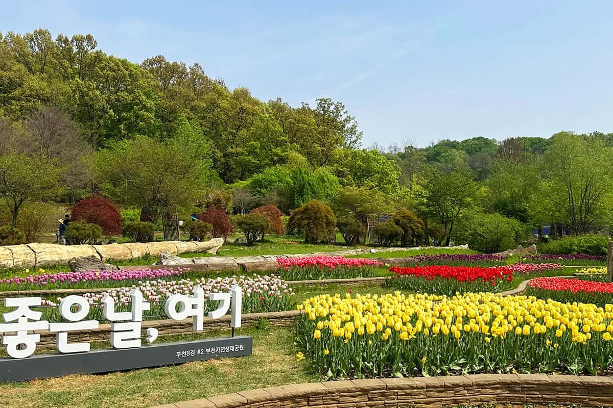 부천 무릉도원수목원 포토존 부천 무릉도원수목원 포토존