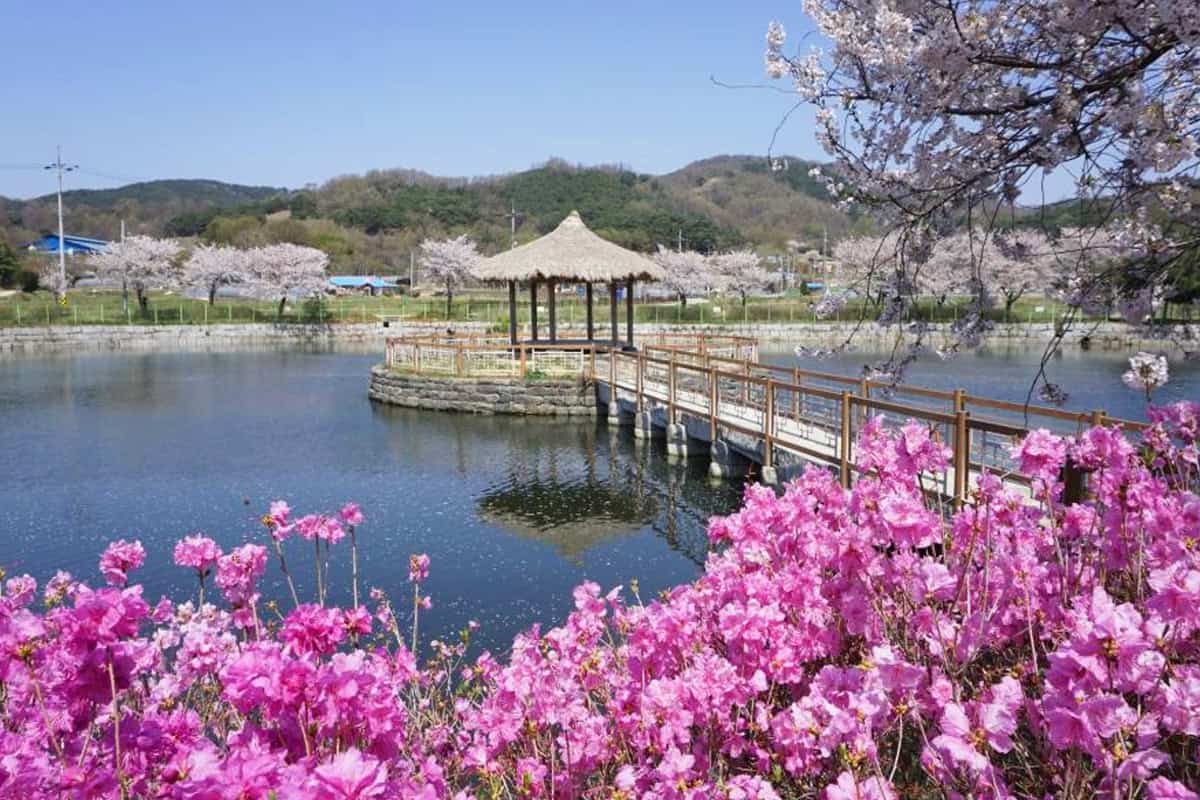 당진 면천면 골정지