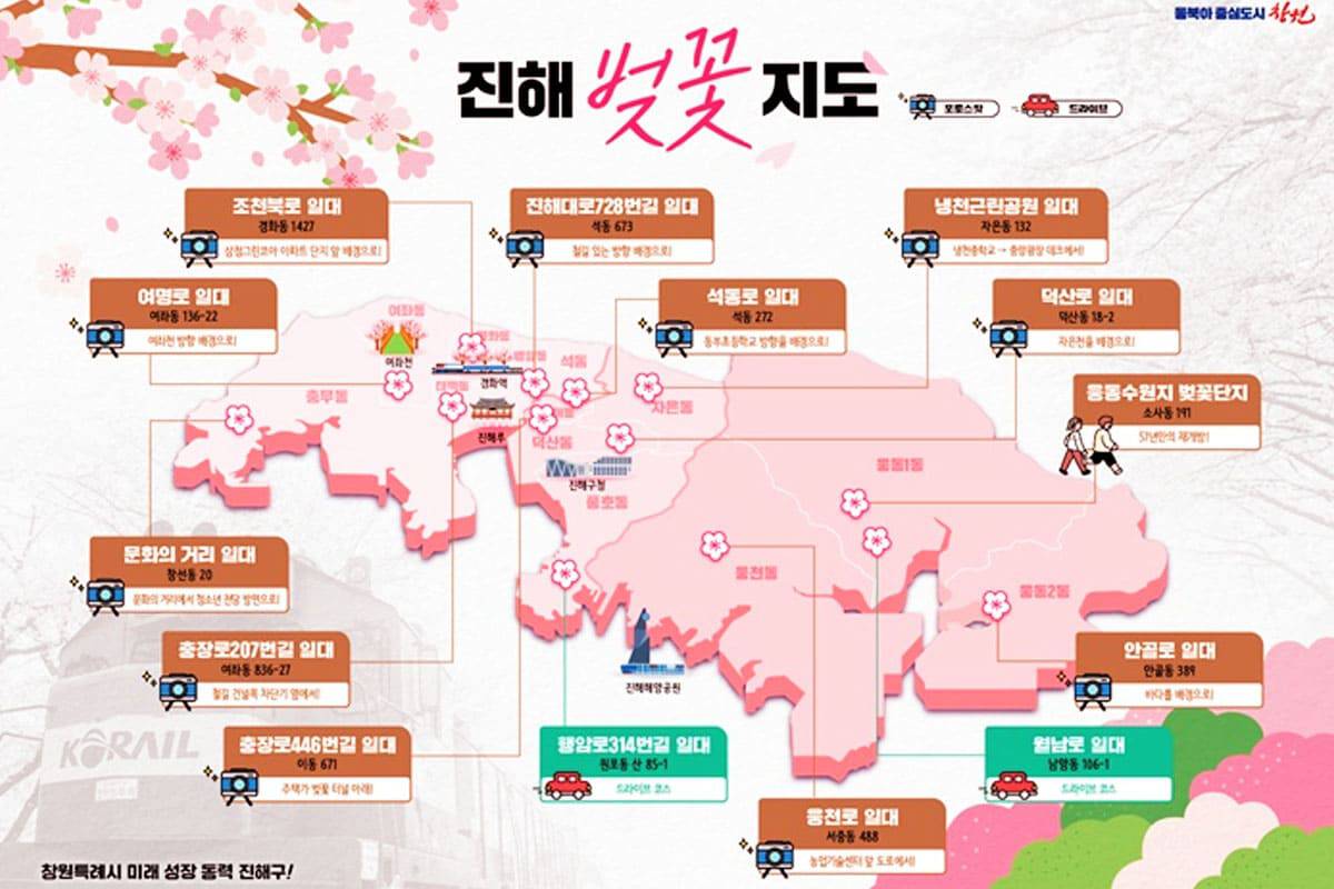 진해 벚꽃지도 진해 벚꽃지도