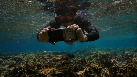 Provided by Samsung Electronics