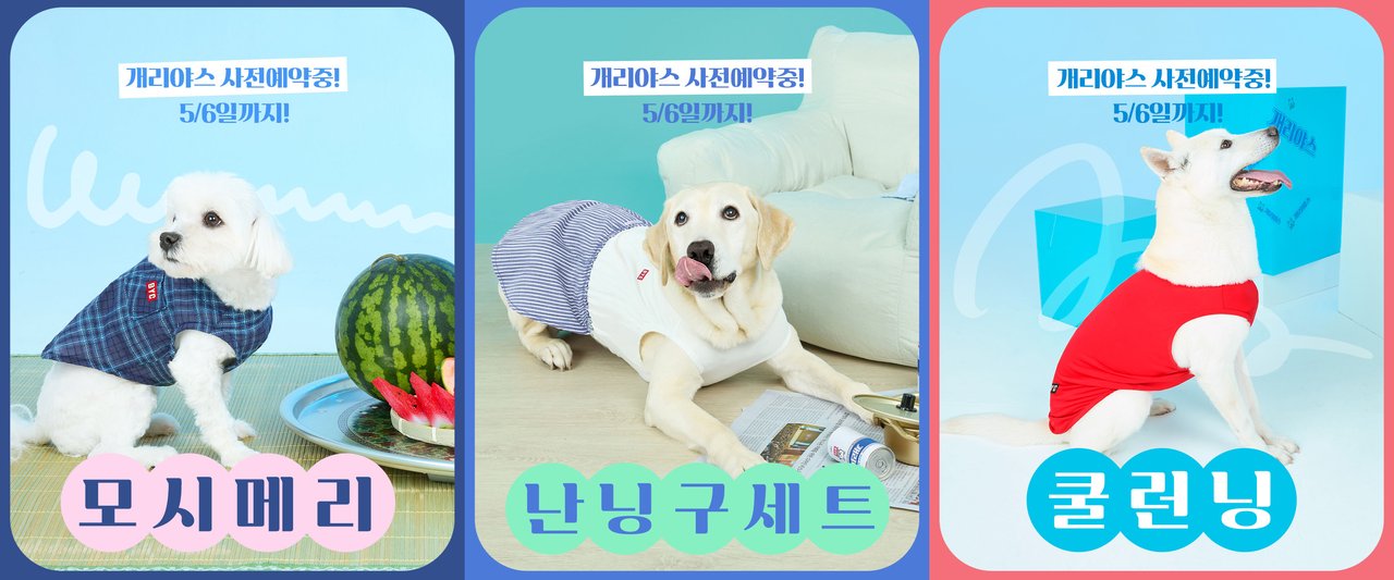 /사진=BYC
