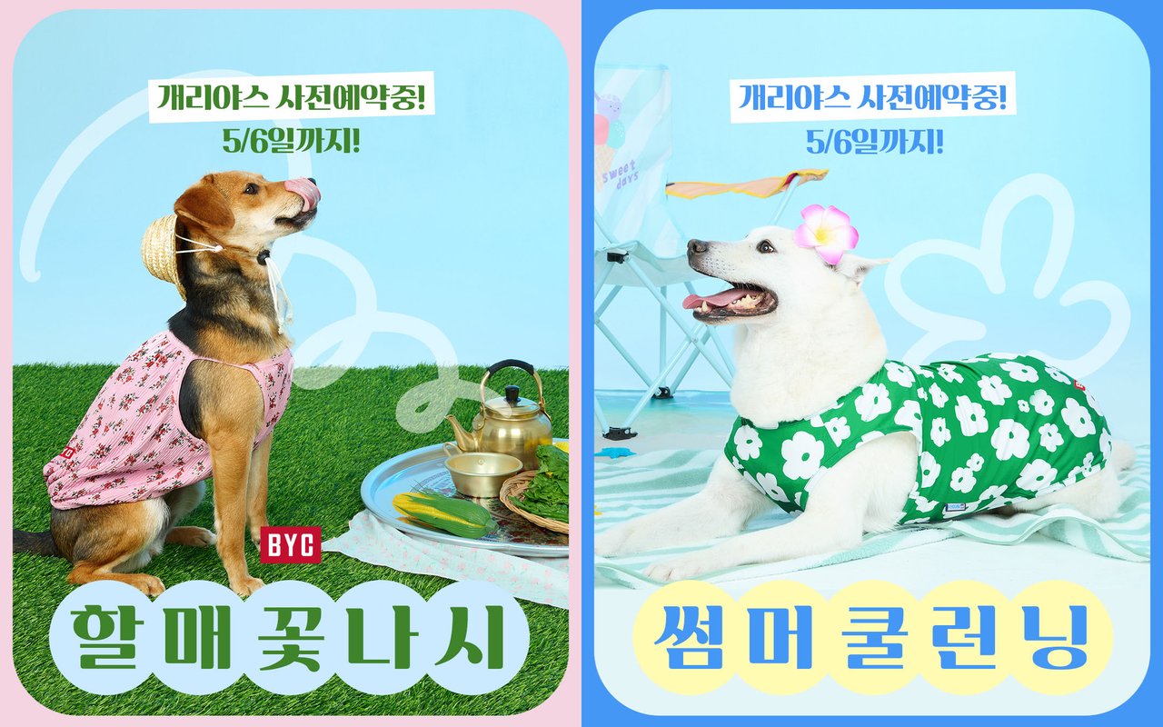 /사진=BYC