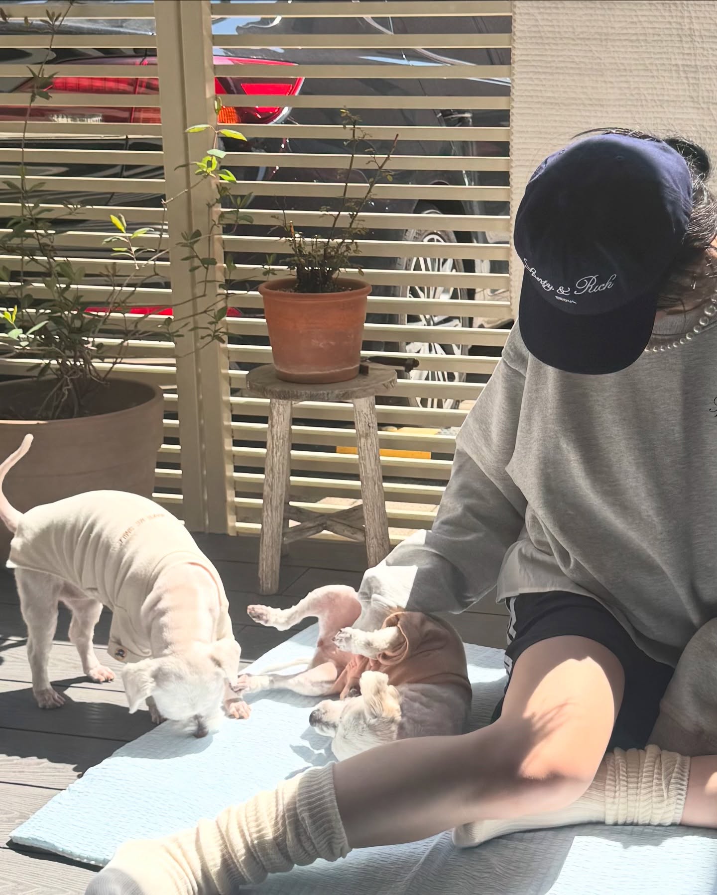 출처 : 채령 SNS
