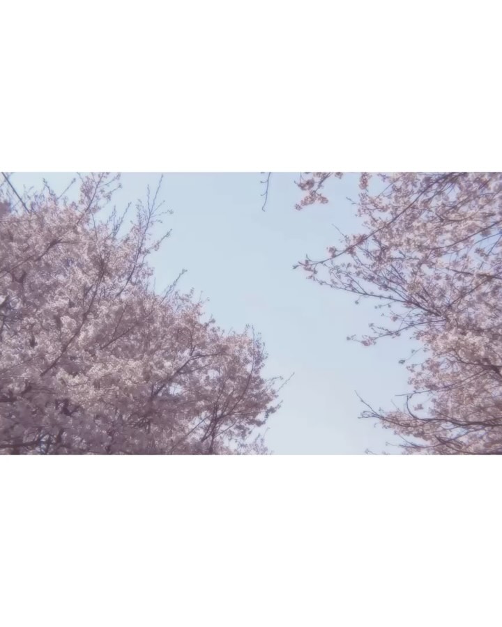 출처 : 최유정 SNS