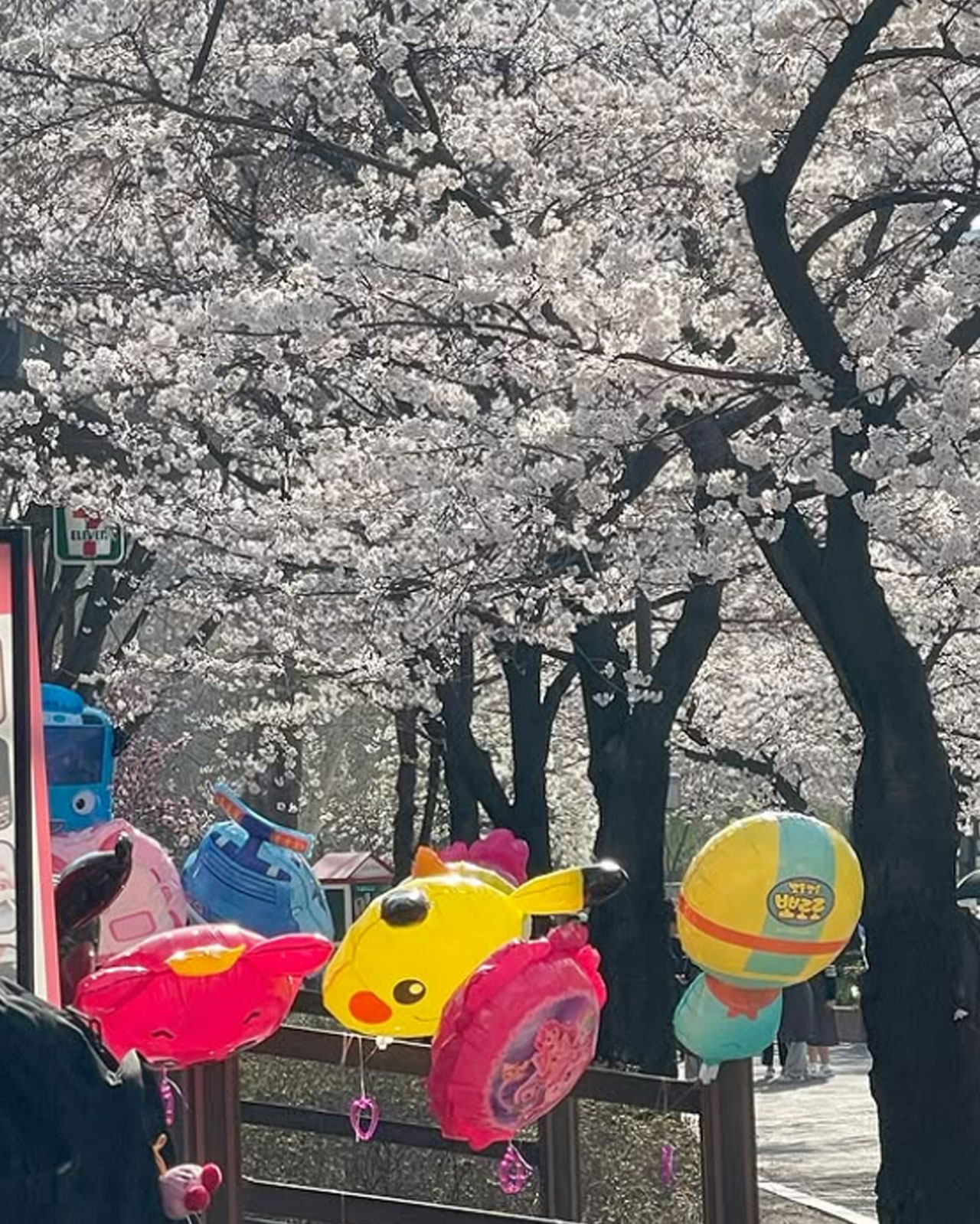 출처 : 이솔이 인스타그램