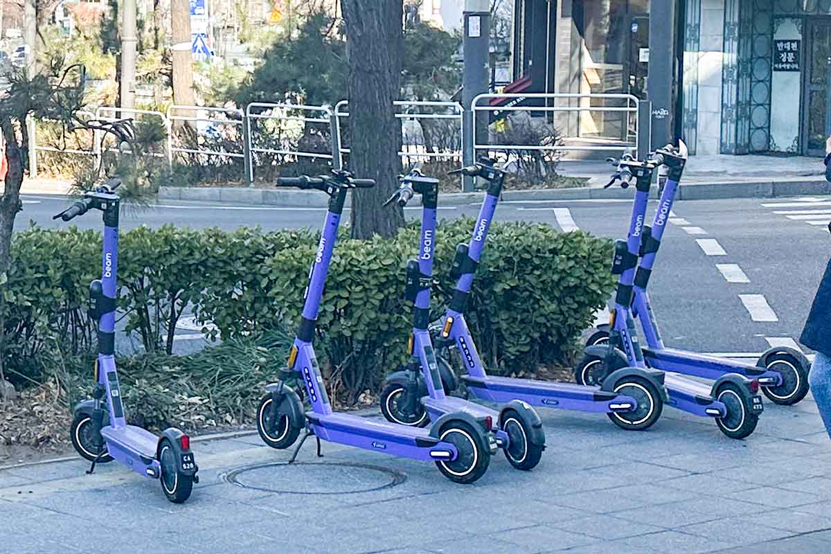 전동킥보드-어린이보호구역-무면허-개인형이동장치-파주-고양