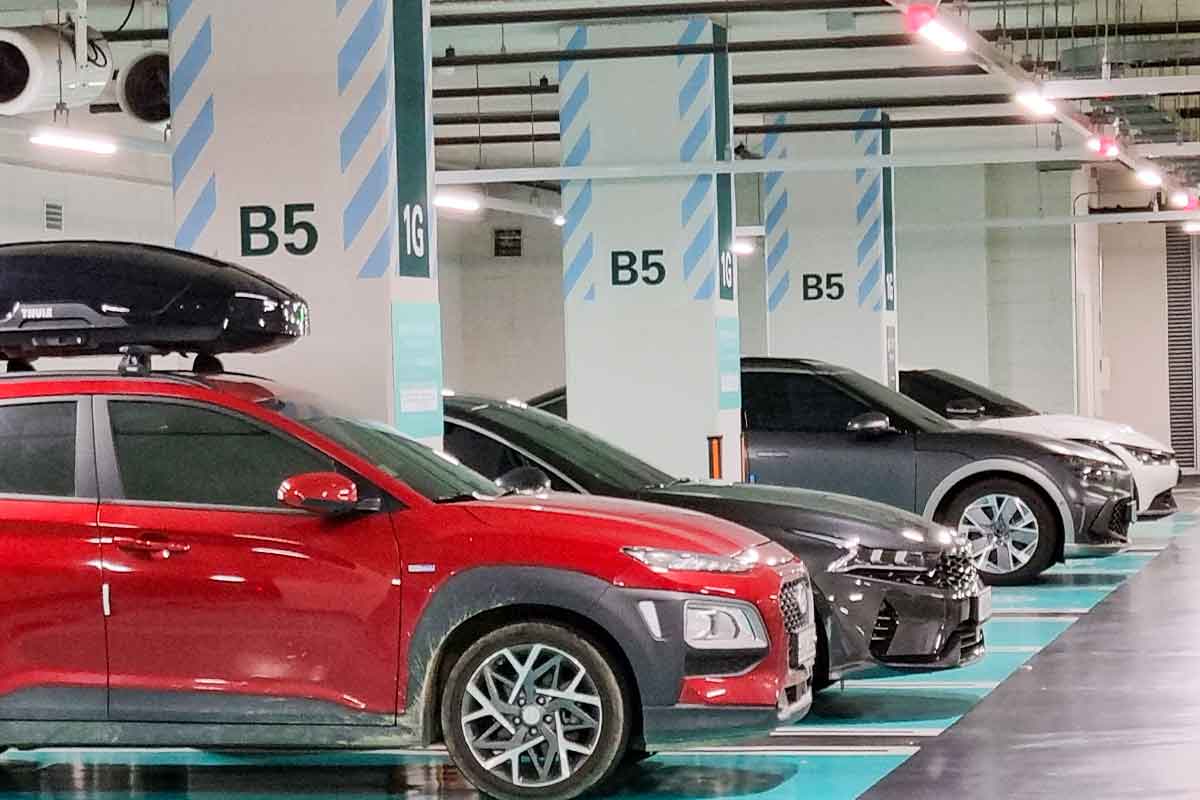 장애인주차표지-장애인주차구역-과태료-200만원-부정사용