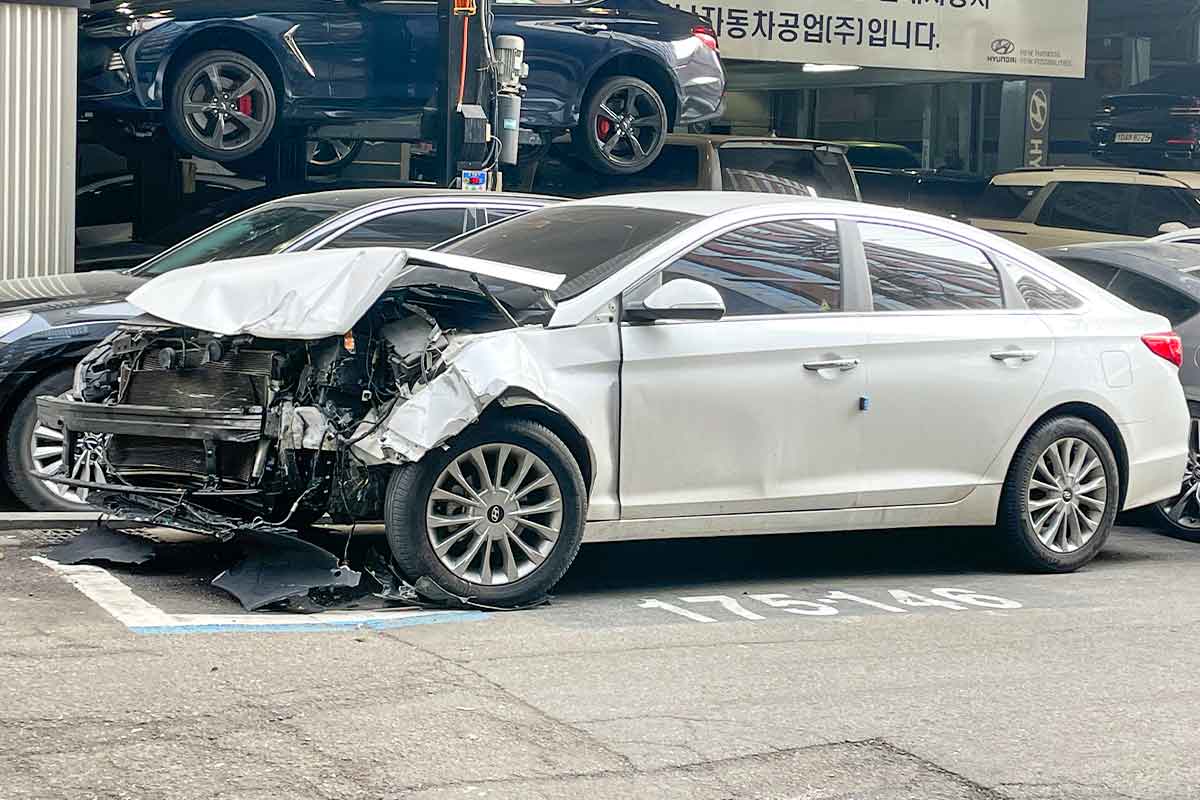 외국인-택시-여행사-불법운행-교통사고-중국인-귀화자
