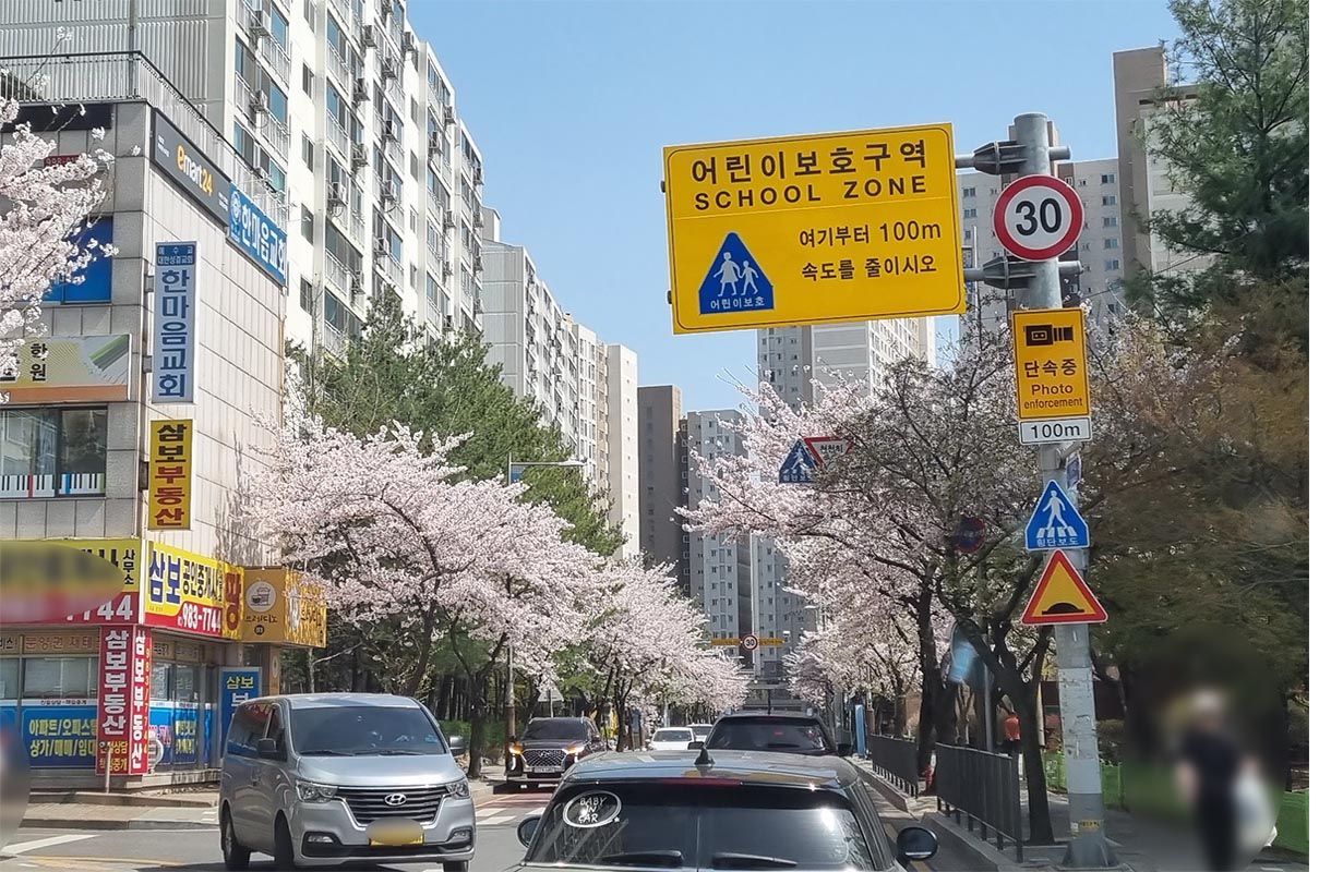 주정차-과태료-노인보호구역-어린이보호구역-주차금지
