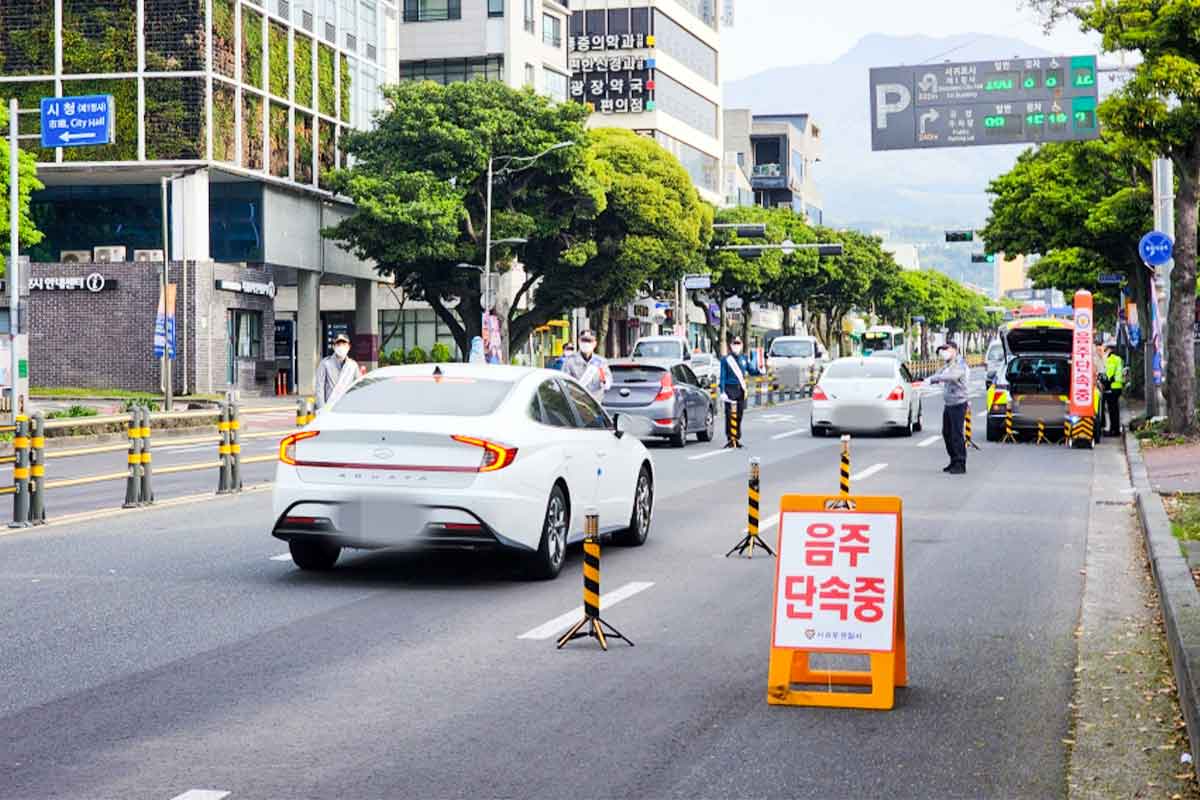 제주도-서귀포-아침-음주단속-숙취운전-면허취소-면허정지-음주운전