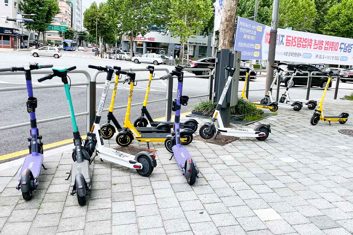 전동킥보드-어린이보호구역-무면허-개인형이동장치-파주-고양