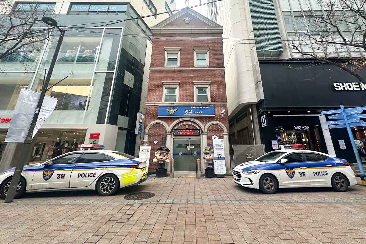 외국인-택시-여행사-불법운행-교통사고-중국인-귀화자