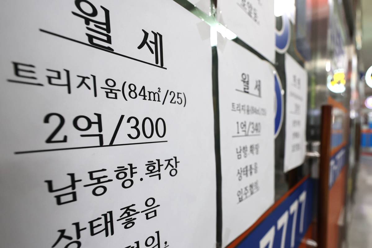 출처 : 뉴스 1