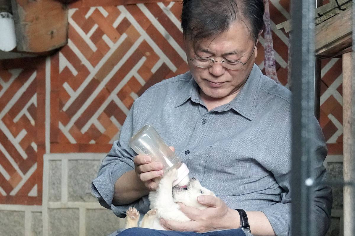 출처 : 뉴스 1