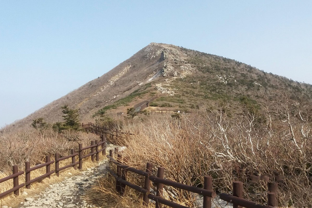 출처: 뉴스1