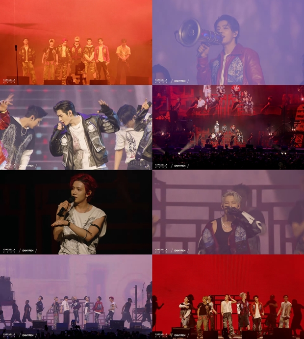 티브이데일리 포토