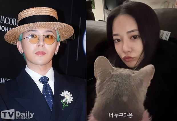 티브이데일리 포토