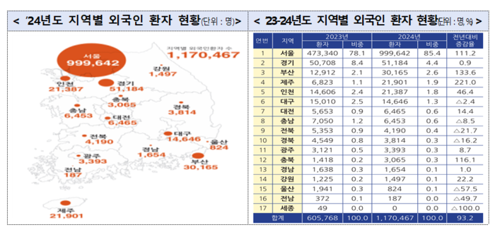 지난해 지역별 외국인 환자 현황(자료=보건복지부)