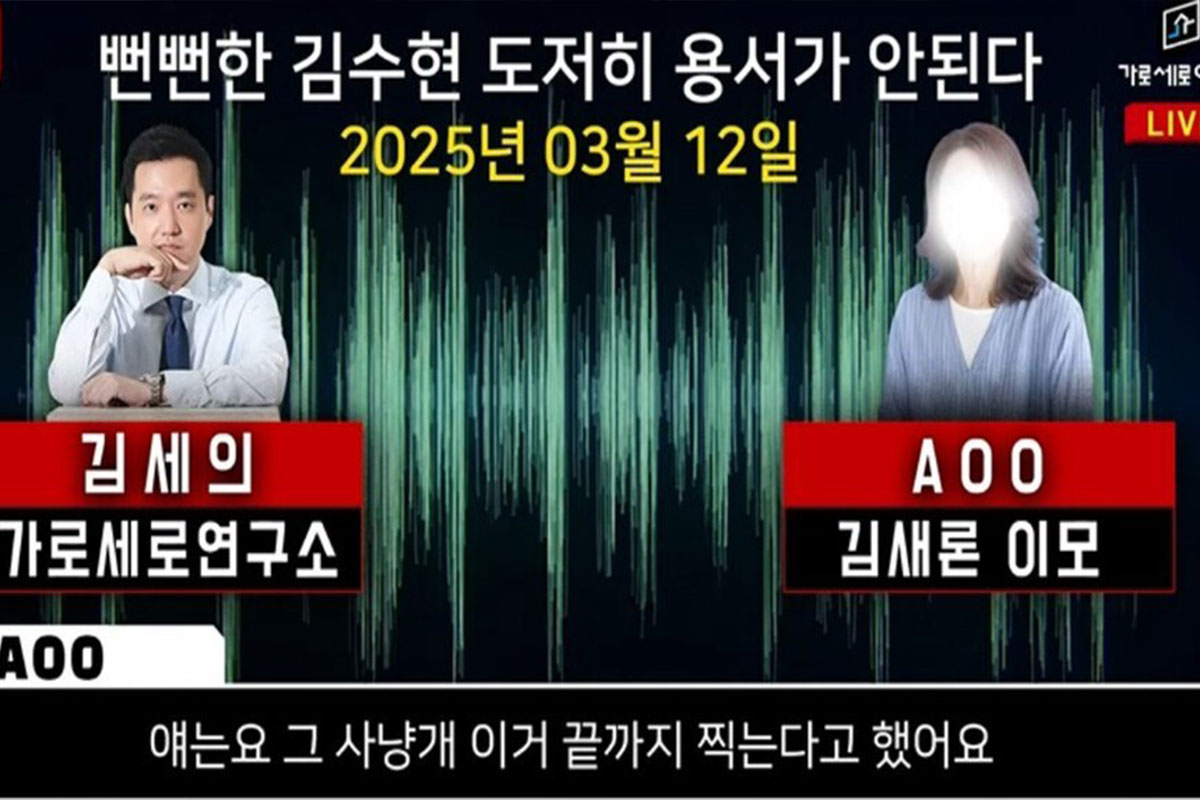 출처: YouTube '가로세로연구소'