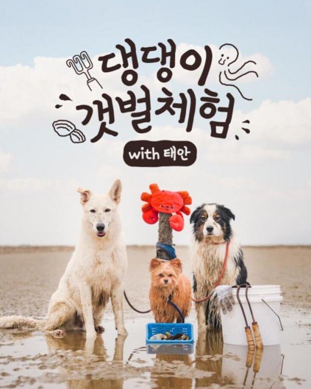 ⓒ노트펫