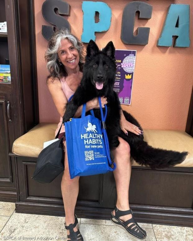 ⓒSPCA of Brevard Adoption Center