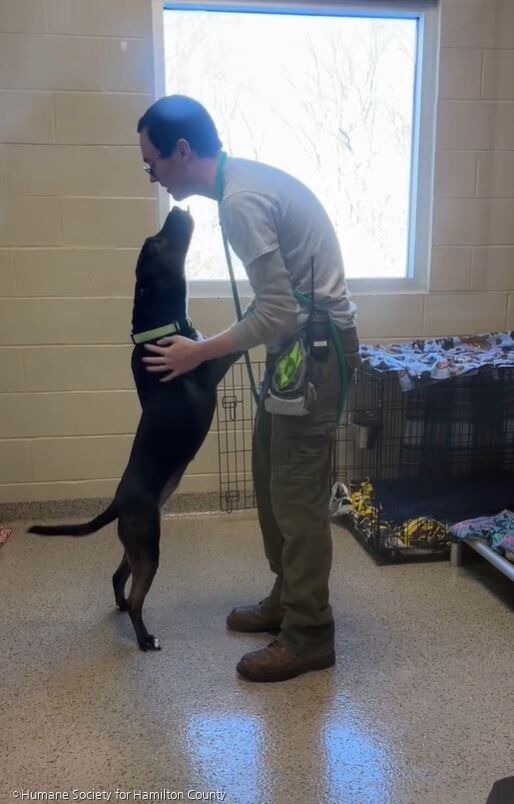 ⓒHumane Society for Hamilton County