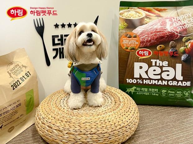 ⓒ노트펫