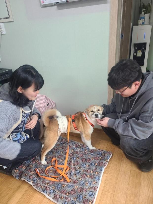 ⓒ노트펫