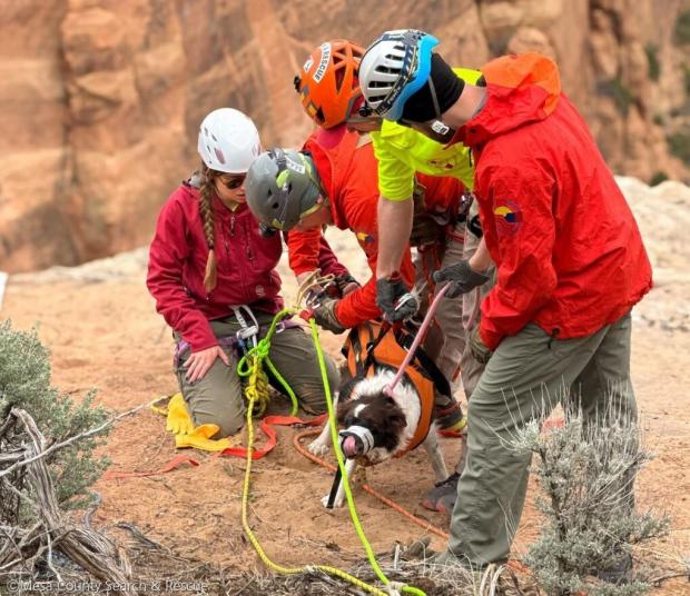 ⓒMesa County Search & Rescue