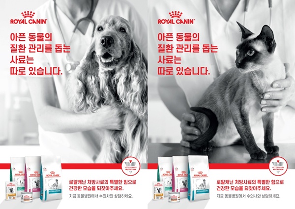 사진=로얄캐닌 코리아