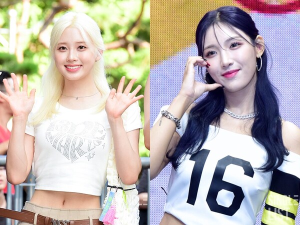 사진=싱글리스트