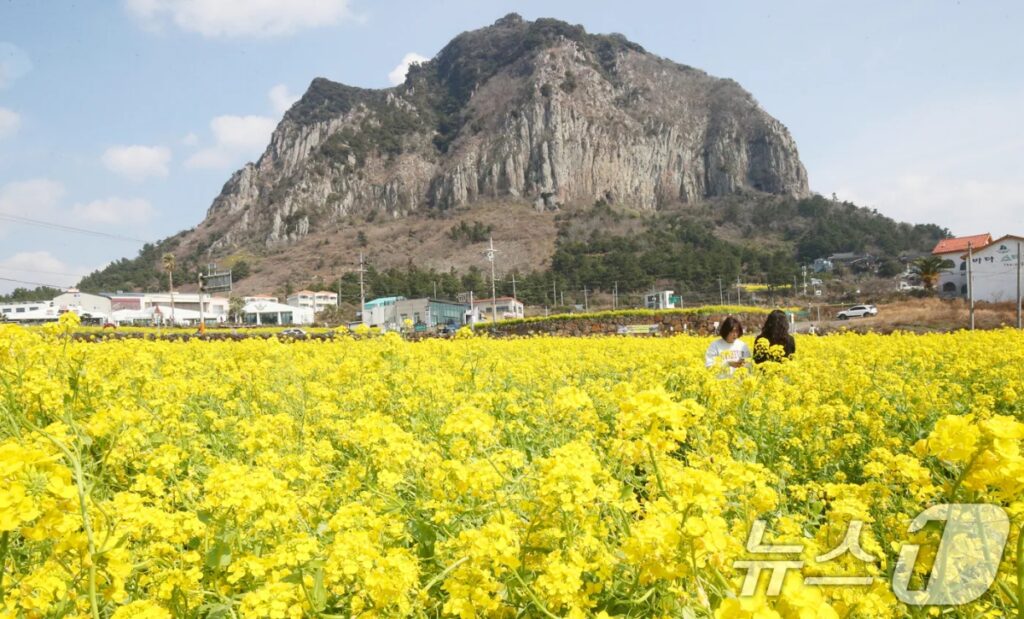 정부