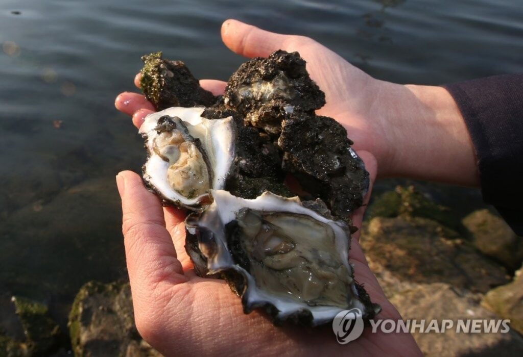 K-푸드