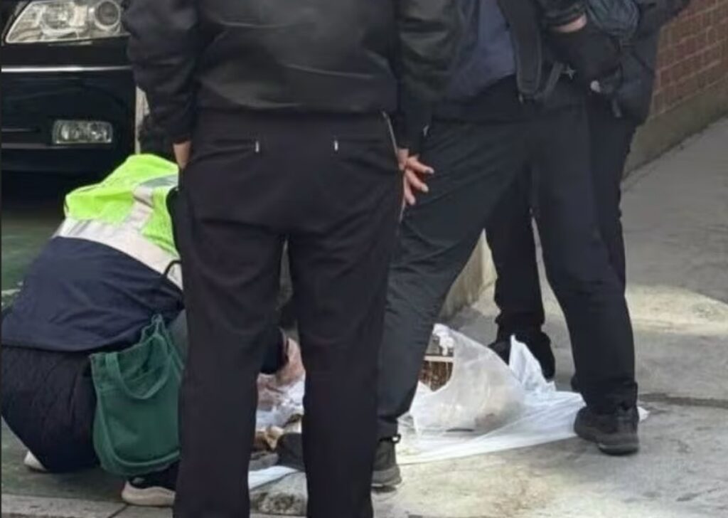 쓰레기