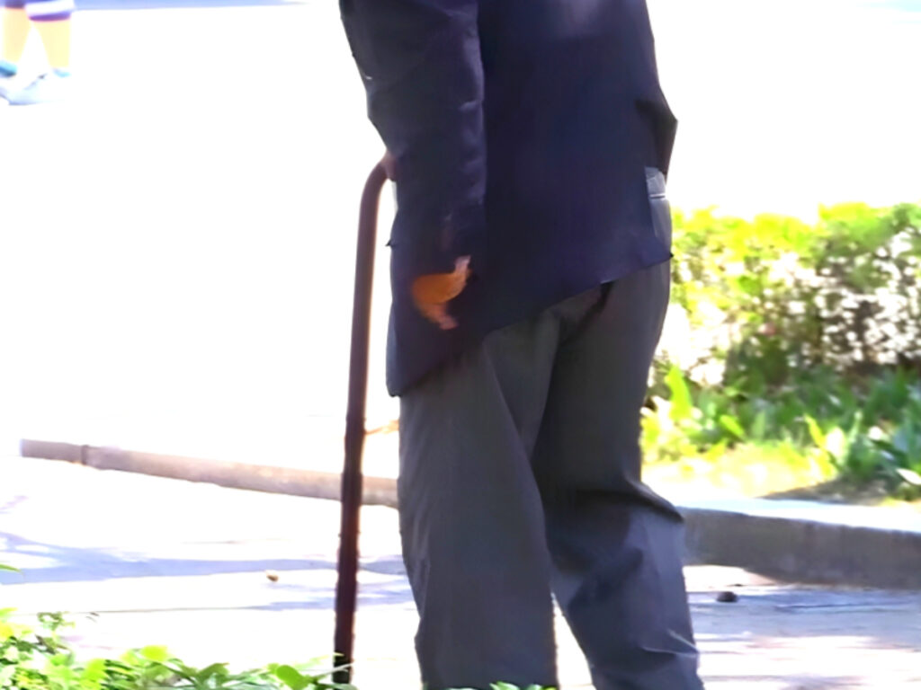 정부