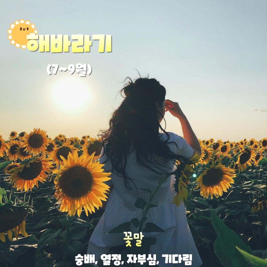 해바라기 / 인포매틱스뷰ⓒDesigned by Freepik