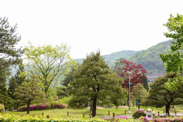 ⓒ한국관광공사 포토코리아-김지호