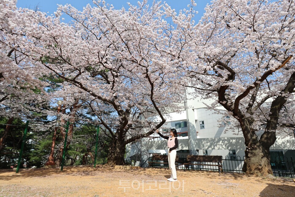 발한도서관 ./사진=동해시