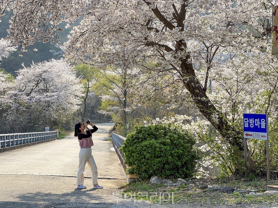 달방수변공원 ./사진=동해시