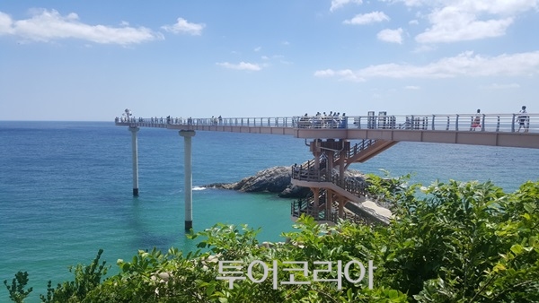 울진 등기산스카이워크/사진-투어코리아