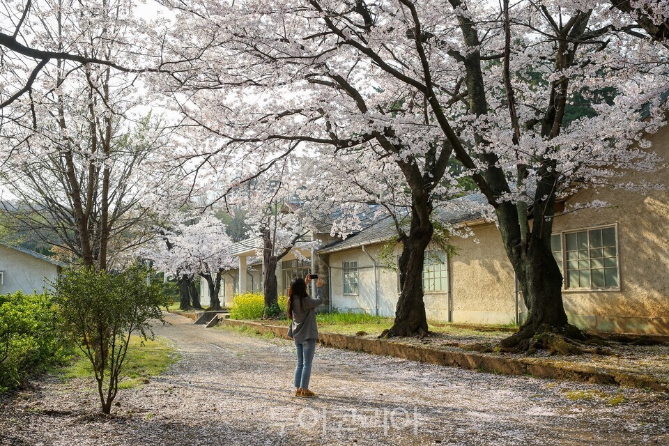 동부사택 ./사진=동해시