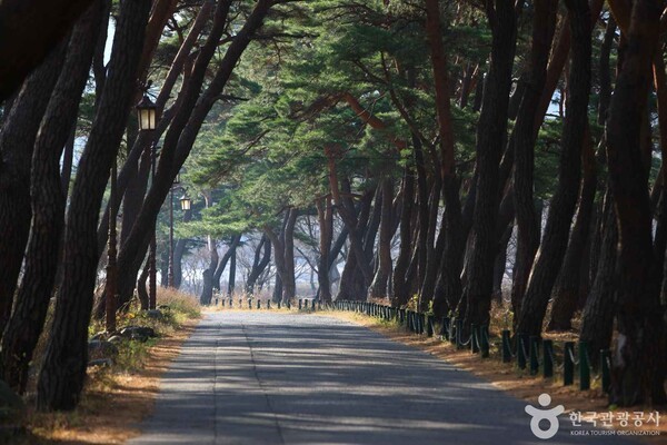 청도 운문사 (출처=ⓒ한국관광공사 포토코리아-김지호)