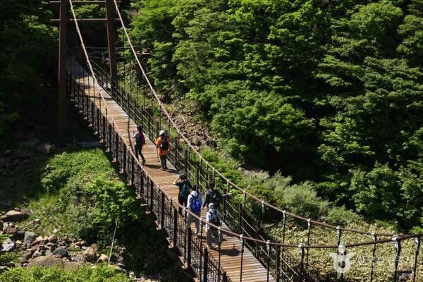 한라산 (출처=ⓒ한국관광공사 포토코리아-김지호)