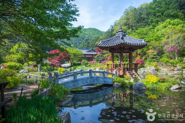 아침고요수목원 (ⓒ한국관광공사 포토코리아-라이브스튜디오)