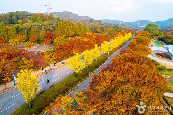 ⓒ한국관광공사 포토코리아-두드림