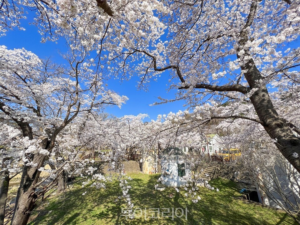 구 상수시설./사진=동해시