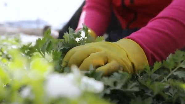 기사와 관련 없는 자료 사진. [출처=EBS]