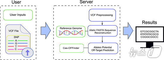 \Research image / Provided by Pusan National University